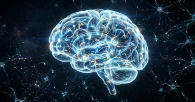 Human brain with glowing neural connections showing electrical activity